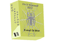 SEO Services | Increase Website Traffic | Affordable SEO Services | SEO Copywriting | SEO Traffic | SEO Packages | SEO Traffic Spider
